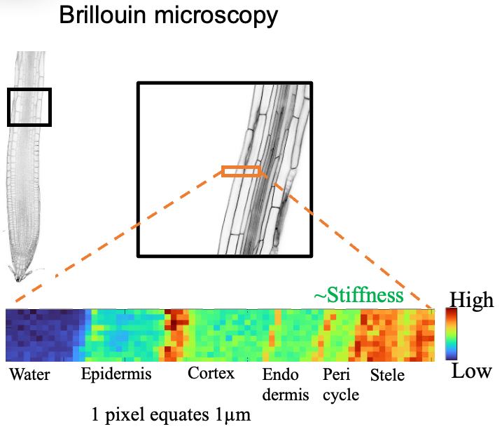 Screenshot 2024-10-07 at 12.28.03